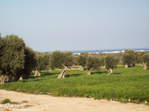 Masseria Ricci